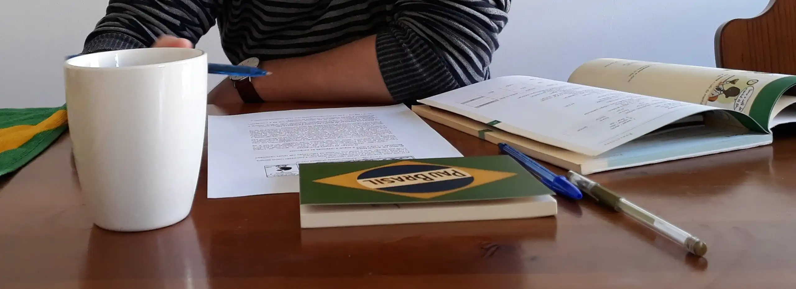 person studying brazilian portuguese